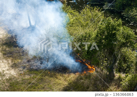 Wildfire sweeps through Florida dry forested area, with crackling flames and smoke clouds spreading across the tree line Wildfire sweeps through Florida dry forested area, with crackling flames and smoke clouds spreading across the tree line 136366863