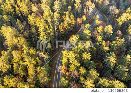 Vibrant autumn landscape in North Carolina mountains. Fall colors stretch across hillsides along quiet mountain road 136366868