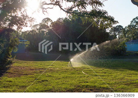 Sprinkler watering lawn grass during dry season Sprinkler watering lawn grass during dry season 136366909