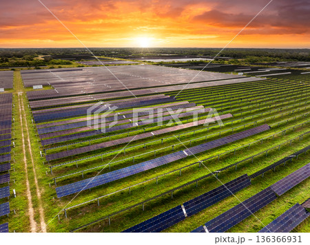 Aerial view of big sustainable electric power plant with many rows of solar photovoltaic panels for producing clean electrical energy. Renewable electricity with zero emission concept 136366931
