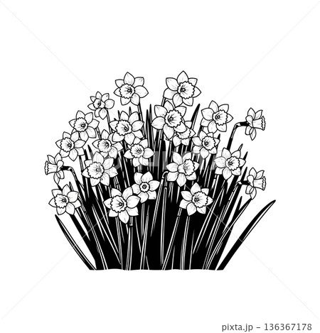 silhouette icon 136367178