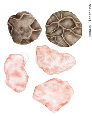 Watercolor hand drawn elements set with pink Himalayan salt crystals and black pepper pods on white background. Ideal for recipe cards, herb packaging, food labels, or kitchen graphics Watercolor hand drawn elements set with pink Himalayan salt crystals and black pepper pods on white background. Ideal for recipe cards, herb packaging, food labels, or kitchen graphics 136367490