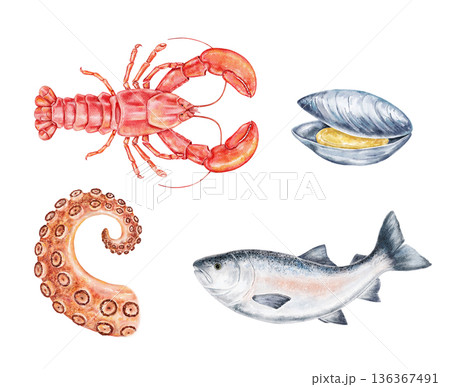 Watercolor seafood set featuring lobster, fish, octopus tentacle, and mussel isolated. Perfect for restaurant menu design, packaging, culinary prints, and seafood festival branding projects. 136367491