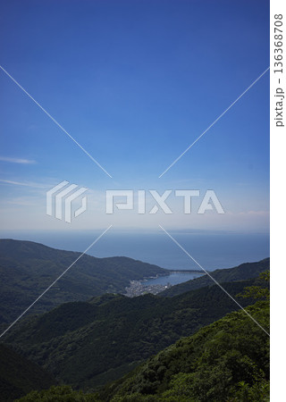 夏の静岡県沼津市戸田地区 夏の静岡県沼津市戸田地区 136368708