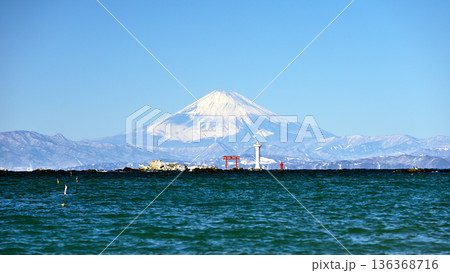 葉山 真名瀬から望む雪の富士山 136368716