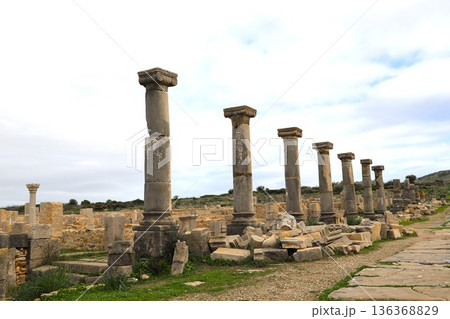 世界遺産のモロッコのボルビリス遺跡遠景1 136368829
