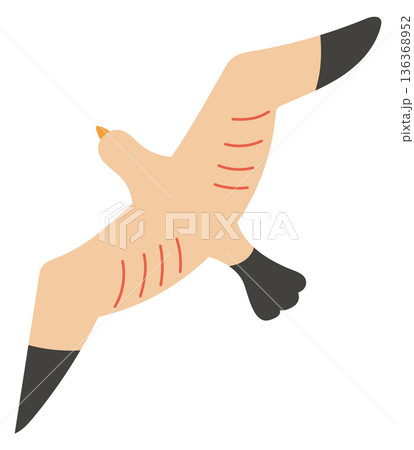 Seagull color icon. Seabird flight. Marine fauna 136368952