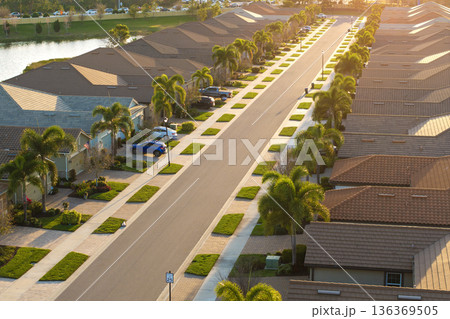 Premium housing development in the USA. Expensive houses between green palm trees in southwest Florida Premium housing development in the USA. Expensive houses between green palm trees in southwest Florida 136369505