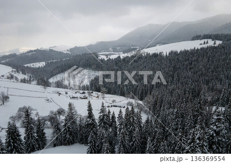 Aerial winter landscape with small rural houses between snow covered forest in cold mountains. 136369554