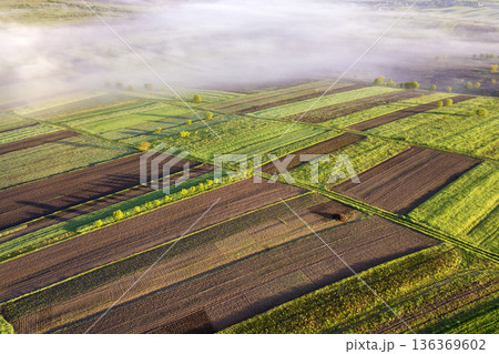 Agricultural landscape from air on sunny spring dawn. Green and brown fields, morning fog. Agricultural landscape from air on sunny spring dawn. Green and brown fields, morning fog. 136369602