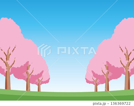桜の春の背景イラスト 136369722