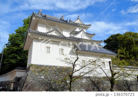 大垣城 天守閣・乾隅櫓 大垣城 天守閣・乾隅櫓 136370725