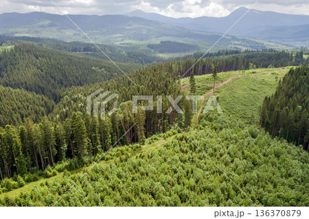 Aerial view of green Carpathian mountains covered with evergreen spruce pine foreston summer sunny day. Aerial view of green Carpathian mountains covered with evergreen spruce pine foreston summer sunny day. 136370879