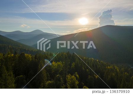 Aerial view of foggy evening over high peaks with dark pine forest trees at bright sunset. Amazing scenery of wild mountain woodland at dusk 136370910