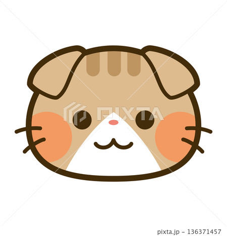 かわいいスコティッシュフォールドの顔アイコン 136371457
