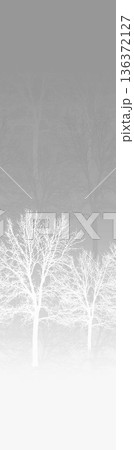 Delicate Pastel Floral Bear Bunny Panda Fruit Bird Kawaii Phone Wallpapers 136372127