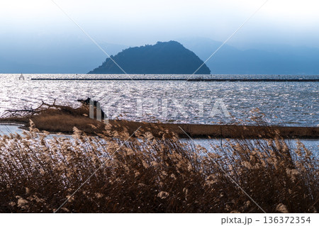 滋賀県長浜市湖北町尾上の冬のたそがれ時の水没林を撮影 136372354