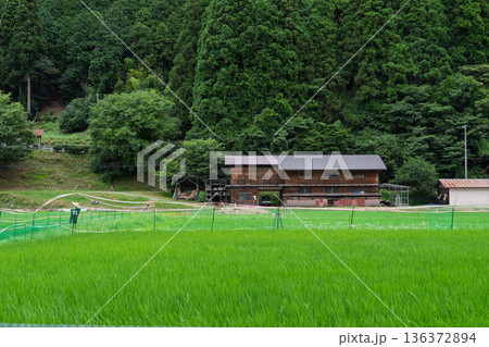 昔話に出てきそうな京都府南丹市美山町茅葺きの里で撮影した夏の風景 昔話に出てきそうな京都府南丹市美山町茅葺きの里で撮影した夏の風景 136372894