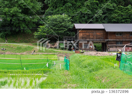 昔話に出てきそうな京都府南丹市美山町茅葺きの里で撮影した夏の風景 136372896