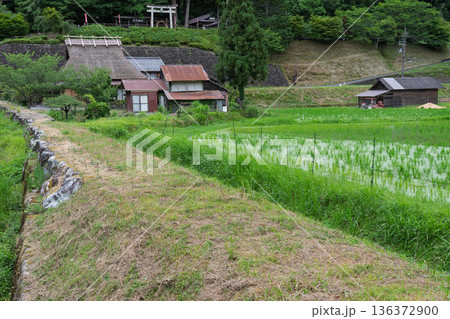 昔話に出てきそうな京都府南丹市美山町茅葺きの里で撮影した夏の風景 昔話に出てきそうな京都府南丹市美山町茅葺きの里で撮影した夏の風景 136372900