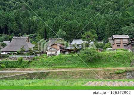 昔話に出てきそうな京都府南丹市美山町茅葺きの里で撮影した夏の風景 136372906