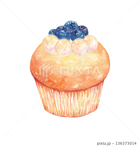 水彩で描いたブルーベリーマフィン 水彩で描いたブルーベリーマフィン 136373014