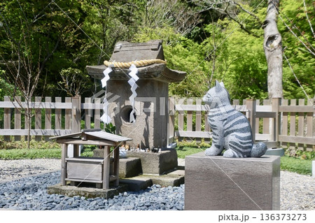 仙巌園・猫神社・ねこがみしゃ(鹿児島県・鹿児島市) 仙巌園・猫神社・ねこがみしゃ(鹿児島県・鹿児島市) 136373273