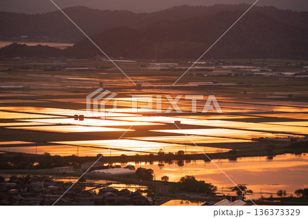 滋賀県東近江市猪子町の猪子山から望む水張りの田植え前の水田がオレンジ色に光る夕景 滋賀県東近江市猪子町の猪子山から望む水張りの田植え前の水田がオレンジ色に光る夕景 136373329