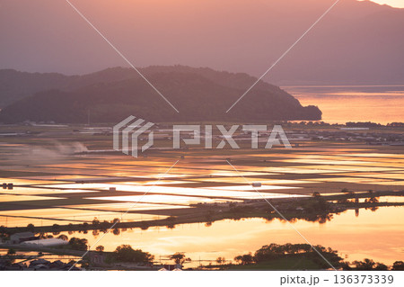 滋賀県東近江市猪子町の猪子山から望む水張りの田植え前の水田がオレンジ色に光る夕景 136373339