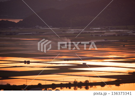 滋賀県東近江市猪子町の猪子山から望む水張りの田植え前の水田がオレンジ色に光る夕景 滋賀県東近江市猪子町の猪子山から望む水張りの田植え前の水田がオレンジ色に光る夕景 136373341