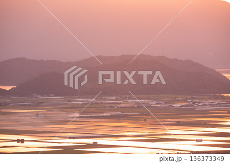 滋賀県東近江市猪子町の猪子山から望む水張りの田植え前の水田がオレンジ色に光る夕景 136373349