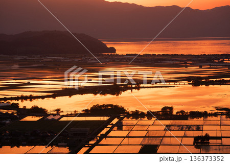滋賀県東近江市猪子町の猪子山から望む水張りの田植え前の水田がオレンジ色に光る夕景 136373352