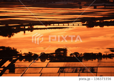 滋賀県東近江市猪子町の猪子山から望む水張りの田植え前の水田がオレンジ色に光る夕景 136373356