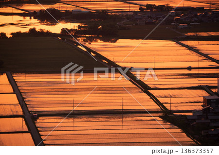 滋賀県東近江市猪子町の猪子山から望む水張りの田植え前の水田がオレンジ色に光る夕景 136373357