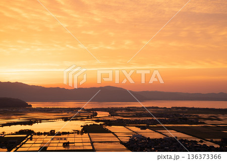 滋賀県東近江市猪子町の猪子山から望む水張りの田植え前の水田がオレンジ色に光る夕景 136373366