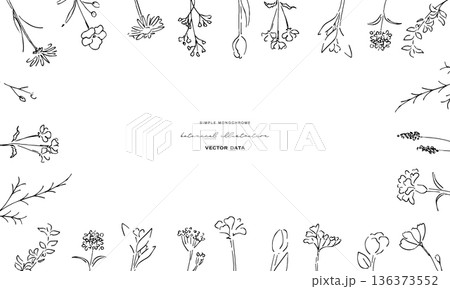 植物の線画イラスト。植物のベクターイラスト背景。葉っぱと花の背景フレーム。 136373552