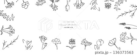 植物の線画イラスト。植物のベクターイラスト背景。葉っぱと花の背景フレーム。 植物の線画イラスト。植物のベクターイラスト背景。葉っぱと花の背景フレーム。 136373563