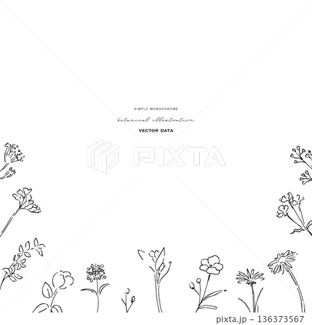 植物の線画イラスト。植物のベクターイラスト背景。葉っぱと花の背景フレーム。 136373567