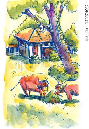 Watercolor Painting of Cattle Grazing Near Farmhouse Watercolor Painting of Cattle Grazing Near Farmhouse 136374607