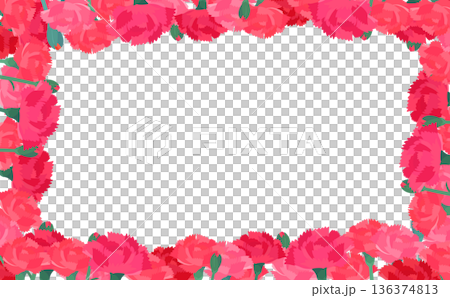 Carnation transparent background frame_horizontal 136374813