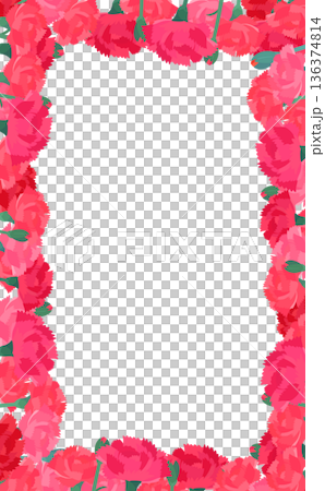 Carnation transparent background frame_vertical 136374814