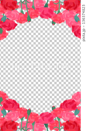 Carnation background transparent frame_vertical_vertical 136374823