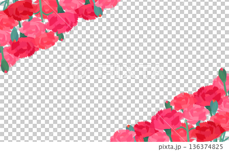 Carnation background transparent frame_vertical diagonal_horizontal Carnation background transparent frame_vertical diagonal_horizontal 136374825