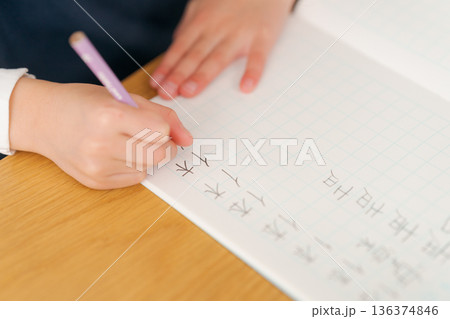 勉強をする小学生の女の子 136374846