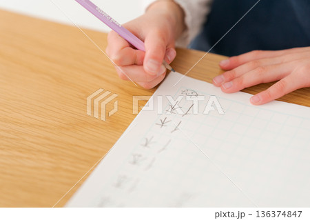 勉強をする小学生の女の子 勉強をする小学生の女の子 136374847