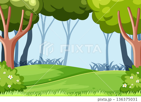 Sunny Forest Clearing with Lush Greenery and Trees 136375031