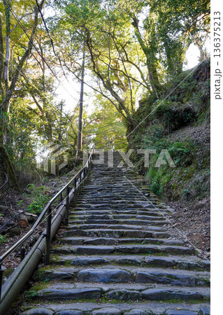 高雄山神護寺への参道の石段 高雄山神護寺への参道の石段 136375213