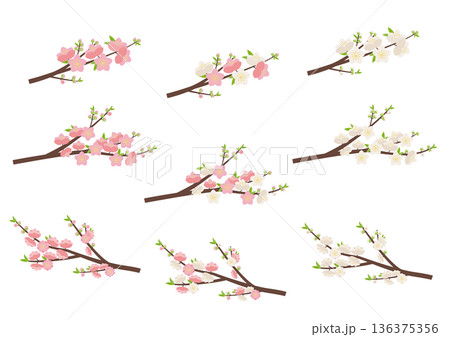桃の花枝セット 136375356