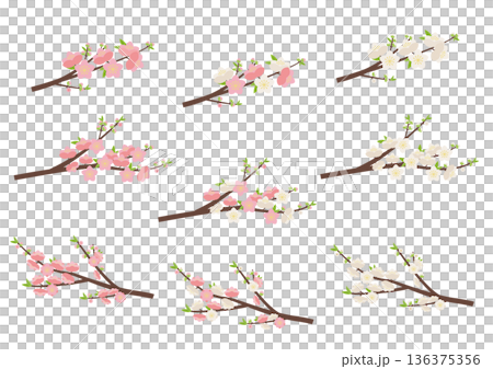Peach blossom branch set 136375356
