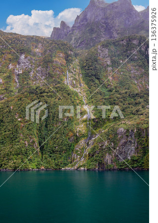 フィヨルドランド国立公園 136375926